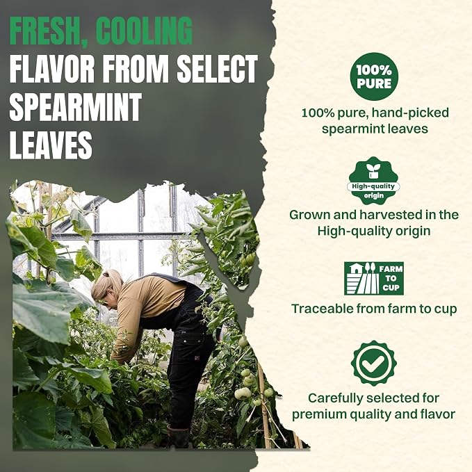 Hiihone Spearmint Tea Bags 100 Count – Pure Spearmint Leaf Herbal Tea, Caffeine-Free, Refreshing Mint Flavor, Supports Digestion & Everyday Wellness, Non-GMO