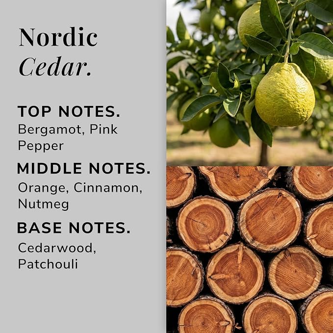 Nordic Cedar Aromatherapy Candle – Cedarwood, Cinnamon & Bergamot Scented Candle, Plant-Based Wax, 15.8 oz, 60 Hour Burn Time, Warm & Cozy Candle