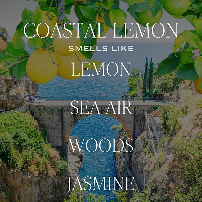 Sweet Water Decor Coastal Lemon Clear Reed Diffuser – Room Decor Aesthetic with Long-Lasting Premium Fragrance of Lemon, Sea Salt, Jasmine & Driftwood for 4 Months – Ideal for Home Décor