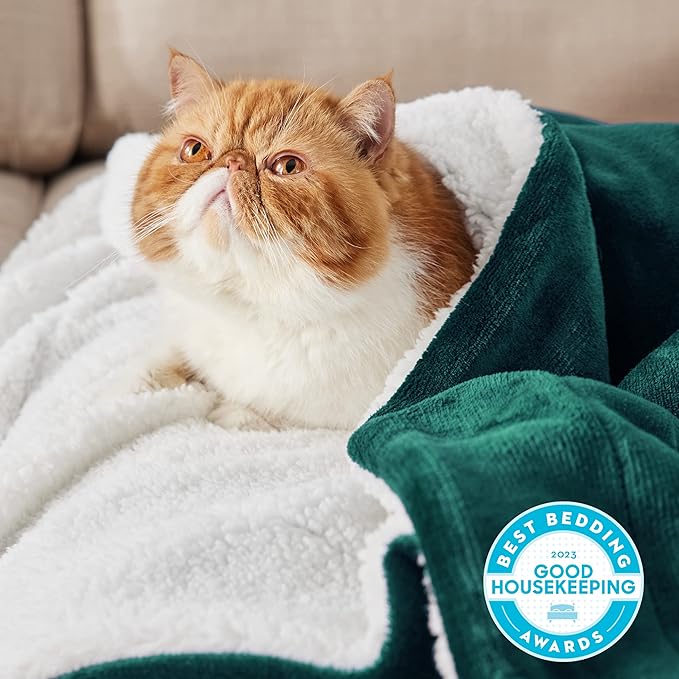 Bedsure GentleSoft Sherpa Fleece Blanket Queen Size for Bed, Non-Heated, Thick and Warm Throw for Women and Men, Soft Fuzzy Plush Queen Blanket for Winter, Forest Green, 90x90 Inches