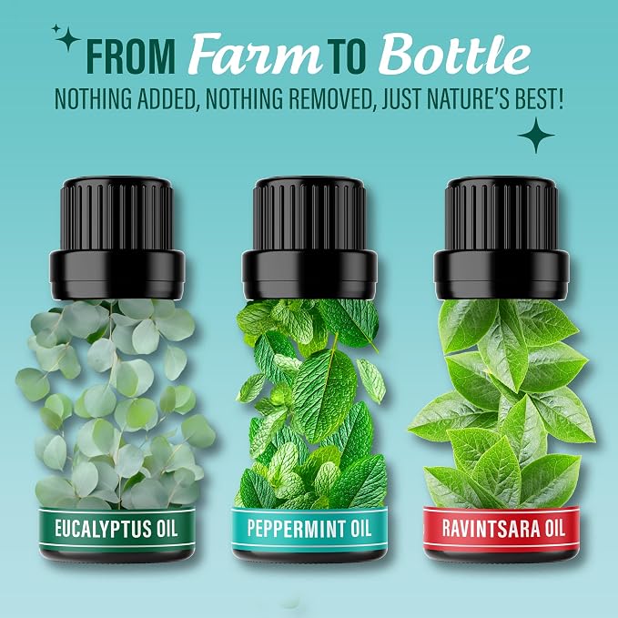 GuruNanda Breathe Essential Oil Set (Pack of 3 x 0.34 Fl Oz) - 100% Pure, Natural & Undiluted Diffuser Oils for Aromatherapy - Helps Support Clear Breathing - Suitable for Massages & DIY Recipes