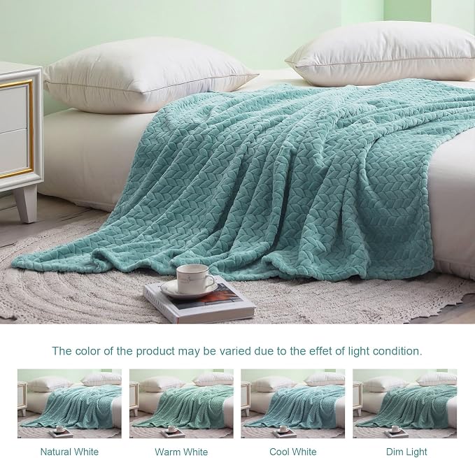 Exclusivo Mezcla Soft Fleece Bed Blanket Queen Size, 90”x90”, Celadon | Cozy Fluffy Lightweight Blankets for Summer, Decorative Plush Flannel Throws for Living room, Bedroom with Leaves Pattern