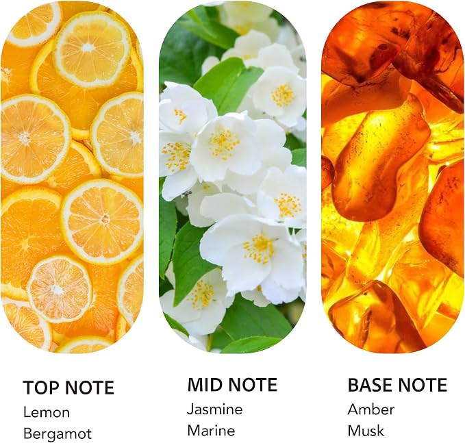 Luxury Hotel Scent Ritz Carlton Diffuser Oil 200ml/6.76Fl Oz Long-Lasting Essential Oil Refill for HVAC Systems, Home & Spa Use l Waterless Essential Aromatherapy