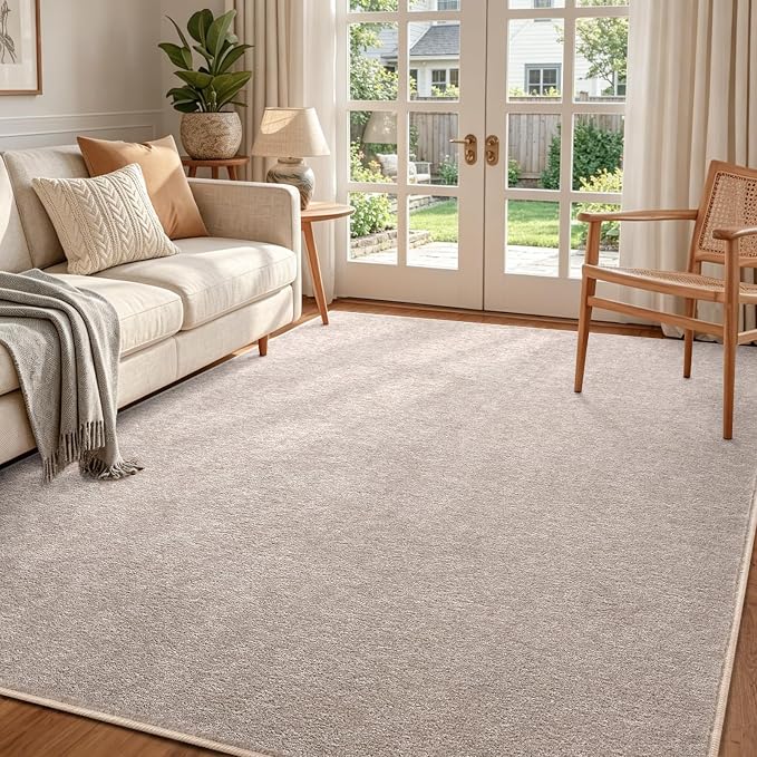 FinRèc 4x6 Washable Area Rugs for Bedroom Living Room, Low Pile Thin Rug Solid Color, Non-Slip Carpet Indoor for Home Decor (Oatmeal/White)