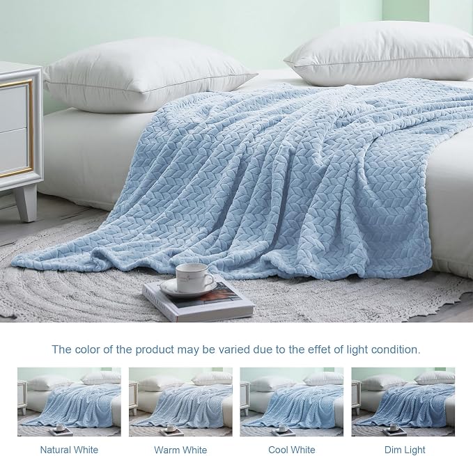 Exclusivo Mezcla Soft Fleece Bed Blanket Queen Size, 90”x90”, Light Blue | Cozy Fluffy Lightweight Blankets for Summer, Decorative Plush Flannel Throws for Living room, Bedroom with Leaves Pattern