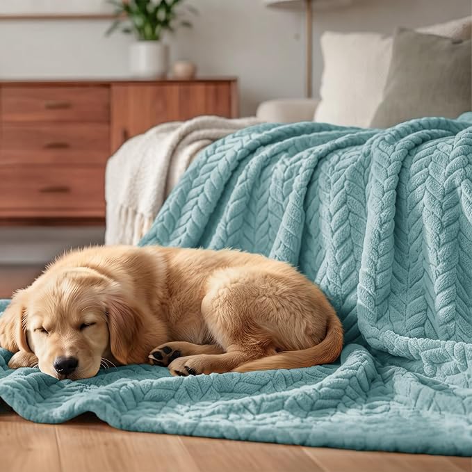Exclusivo Mezcla Soft Fleece Bed Blanket Twin Size, 60”x80”, Celadon | Cozy Fluffy Lightweight Blankets for Summer, Decorative Plush Flannel Throws for Living room, Bedroom with Leaves Pattern