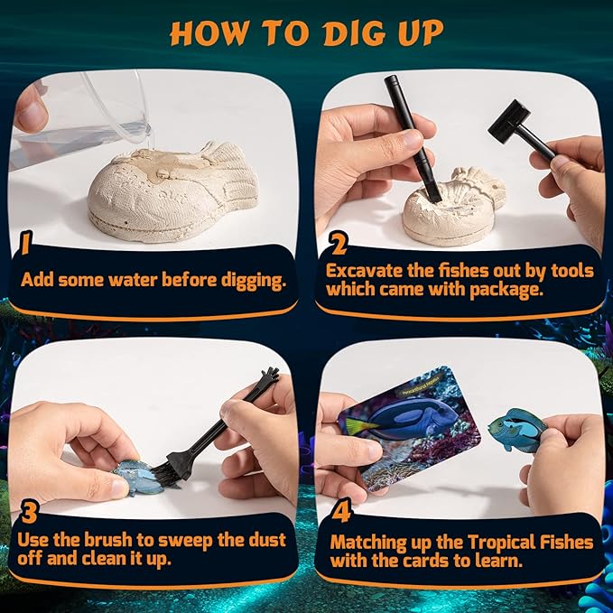 GobiDex Ocean Life Fish Dig Kit, Excavate 12 Simulated Marine Fish Science Kits for Kids Age 6-8-12, STEM Learning & Education Toys, Party Favors Gift for Kids Boys & Girls Age 6+ Year Old
