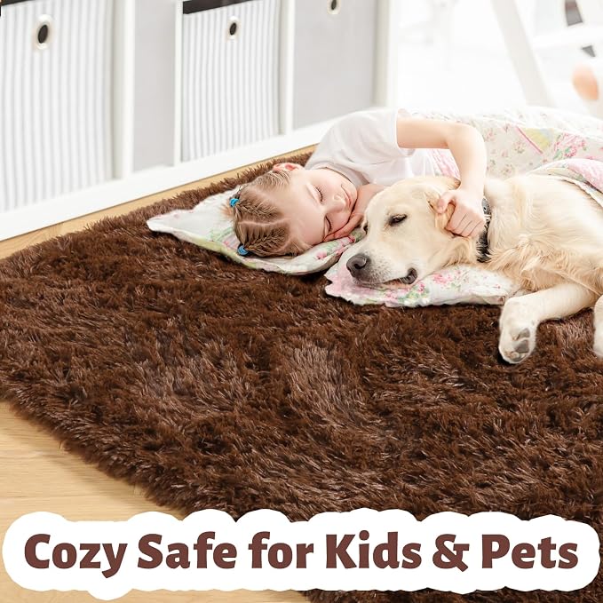Amdrebio Chocolate Brown Furry Area Rug 5x7 for Living Room Bedroom Dorm | Plush Fuzzy Fluffy Carpet, Nursery Classroom Office Playroom Apartment Decor, Vintage Rustic Farmhouse Aesthetic, Dark Brown