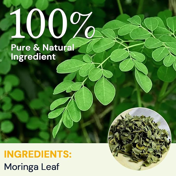 Moringa Leaf Tea - Caffeine Free, 50 Tea Bags