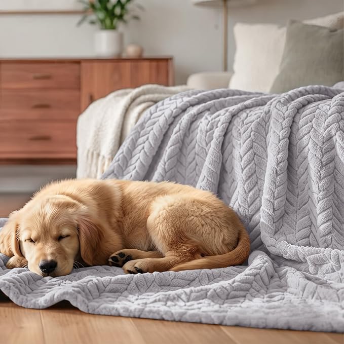 Exclusivo Mezcla Soft Fleece Bed Blanket Twin Size, 60”x80”, Light Grey | Cozy Fluffy Lightweight Blankets for Summer, Decorative Plush Flannel Throws for Living room, Bedroom with Leaves Pattern
