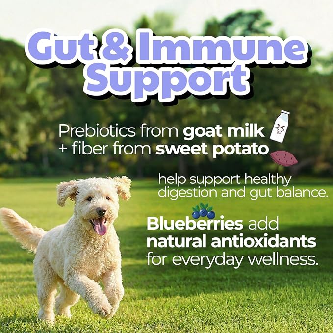 Freeze-Dried Goat Milk Dog Treats, Blueberry, 1.76 oz