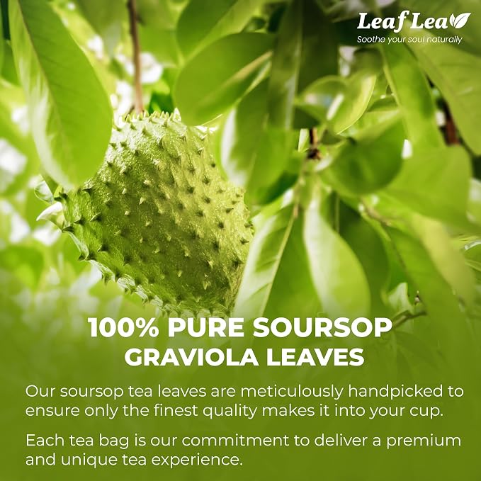 LeafLea Soursop Leaf Tea Bags, From Soursop Graviola Leaves, 240 Count | 100% Dried Soursop Leaves, Hoja Guanabana, Smooth And Earthy Flavor, Digestion Support, No Caffeine, Sugar-Free