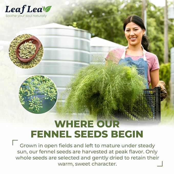 LeafLea Fennel Tea Bags, Pure Fennel Seed Tea, Foil-Wrapped, Caffeine-Free | Single-Ingredient Fennel Seed, Naturally Sweet & Soothing After Meals, 40 Bags, Sugar-Free, Vegan, Non-GMO