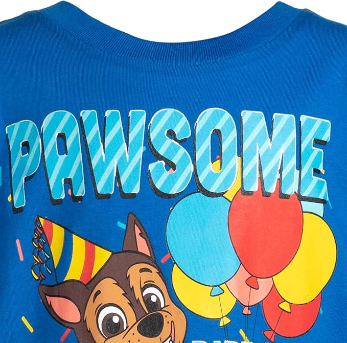 Paw Patrol Birthday T-Shirt Toddler to Little Kid Sizes (2T - 7-8)