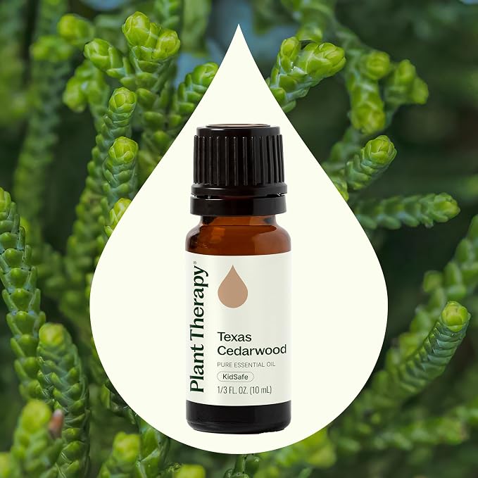 Plant Therapy Texas Cedarwood Essential Oil 10 mL (1/3 oz) 100% Pure, Undiluted, Aromatherapy for Mood Support and Clear Breathing