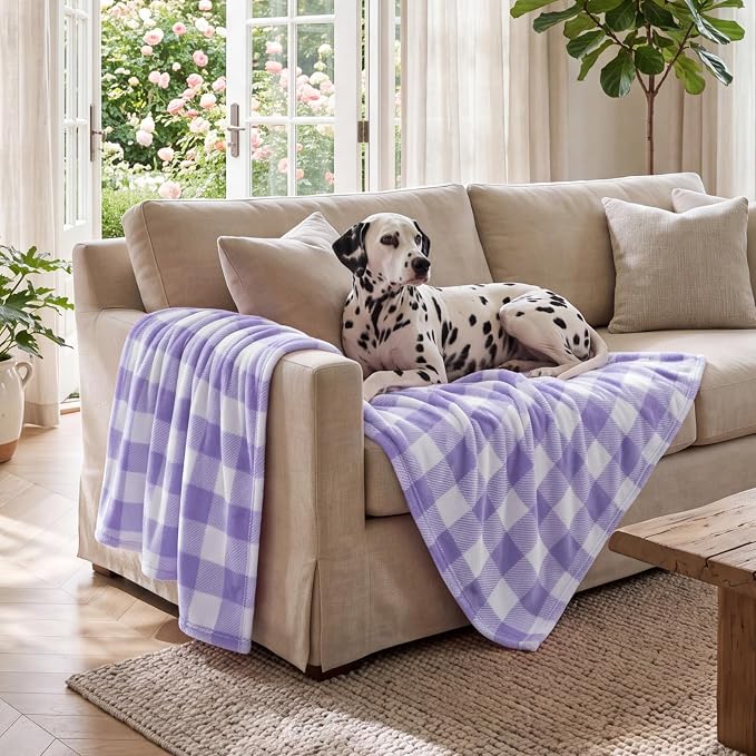 BEDELITE Plaid Fleece Throw Blanket, Purple & White Buffalo 60x80 Inches | 100% Polyester Microfibe, Soft Cozy, Lightweight Warm, Classic Buffalo Plaid, Room Decor, Gift for Women Girls, for Couch Bed