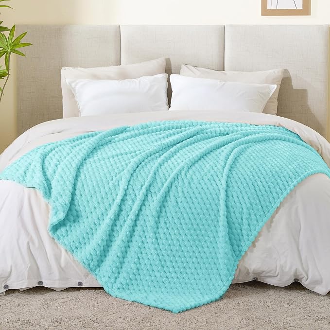 BEDELITE Aqua Twin Blanket for Couch, Soft Cozy Gifts for Women, 60 * 80 | 3D Jacquard Decorative Fleece Blanket, Super Soft Plush Throw, Cute Birthday Gift for Women & Men, Suitable for All Seasons