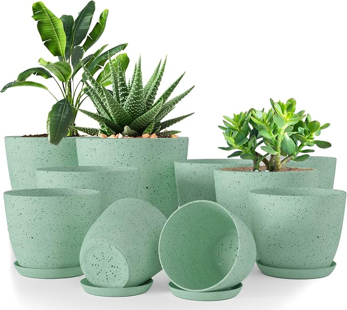 Plant Pots Indoor with Drainage 10 Pack Multi-Size Planters Set Spotty Mint | Drainage holes included Multiple sizes 7/6.6/6/5.3/4.8 In Indoor plants and flowers Durable plastic construction
