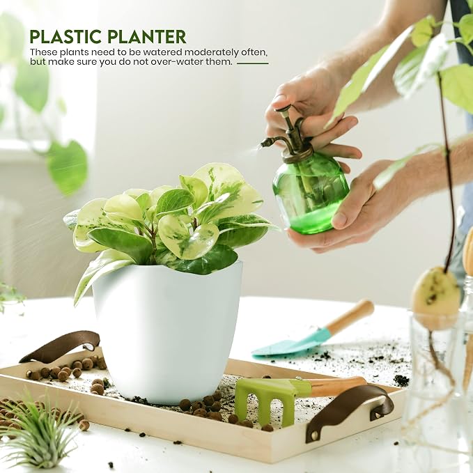 Plant Pots Indoor with Drainage, 5 Pack Multi-Size Planters Set, White | Drainage holes included Multiple sizes 7/6.6/6/5.3/4.8 In Indoor plants and flowers Durable plastic construction