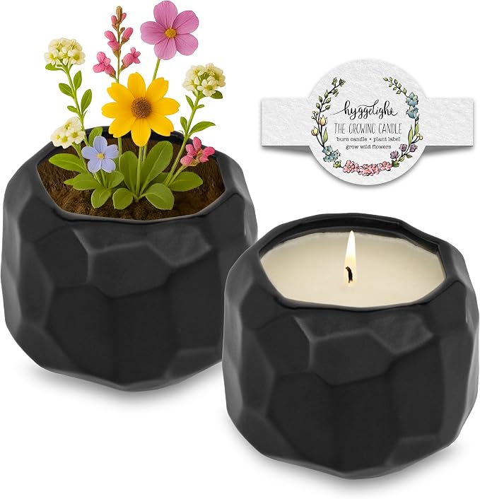 Hyggelight - The Growing Candle, Spice & Fire Scented, 13oz Ceramic Pot, Aromatherapy Candles for Home, 100% Soy, Emma