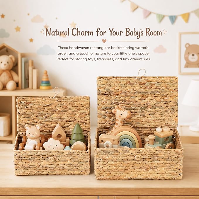 LUSYDECO Set of 2 Rectangular Wicker Storage Bins with Lid, Rattan Basket Decorative Boxes, Multipurpose Organizer Display Boxes for Shelf Organizer, Boho Rattan Box for Home Decoration