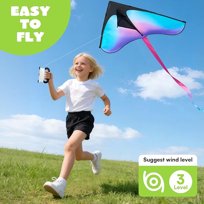 JOYIN Large Delta Kite Gradient Blue & Purple, Easy to Fly Huge for Kids and Adults with 328ft String, Large Delta Beach Kite for Outdoor Games and Activities