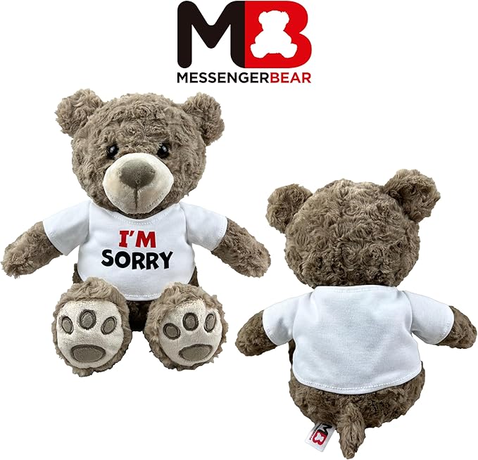 I’m Sorry Teddy Bear 10” Sitting | I Love You Im Sorry Plushie | Im Sorry Gifts for Her Stuffed Animal