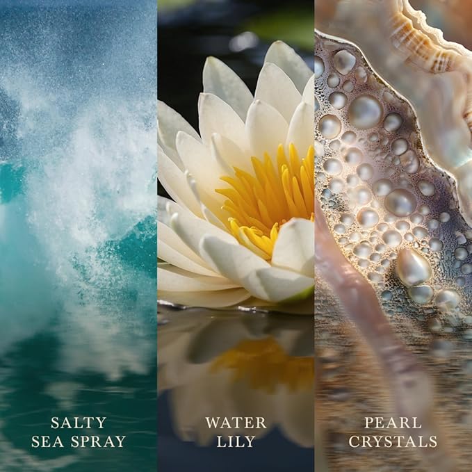 Woodwick Sea Spray Medium Hourglass Candle
