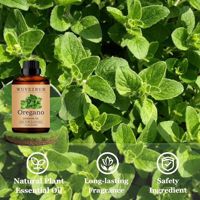 Oregano Essential Oils 240ML, Pure Oregano Essential Oil for Aromatherapy Diffuser - 8 Fl Oz