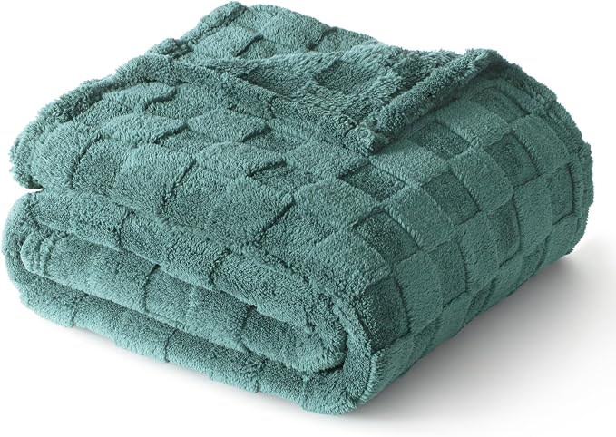 Exclusivo Mezcla 3D Checkered Fleece Throw Blanket for Couch, Celadon | Super Soft and Cozy Fluffy Throw, Lightweight and Breathable, Cute Fuzzy Blanket for Sofa, Home Decor, All Season, 50"x60"