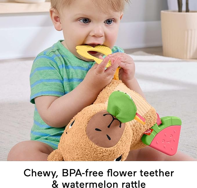 Fisher-Price Baby Sensory Toy Snuggly Snacky Capybara Plush with Newborn Teether & Rattle Activities for Infants Ages 3+ Months