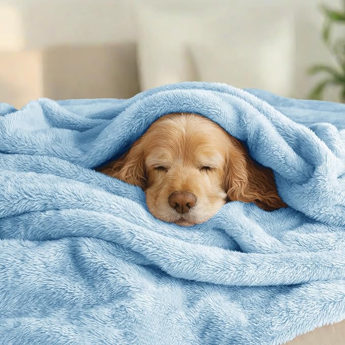 Exclusivo Mezcla Fuzzy Plush Fleece Bed Blanket Queen Size, Light Blue | 90x90 Inches, Super Soft and Cozy Bed Blanket, Fluffy Decorative Bedding for Livingroom, Bedroom, All Season