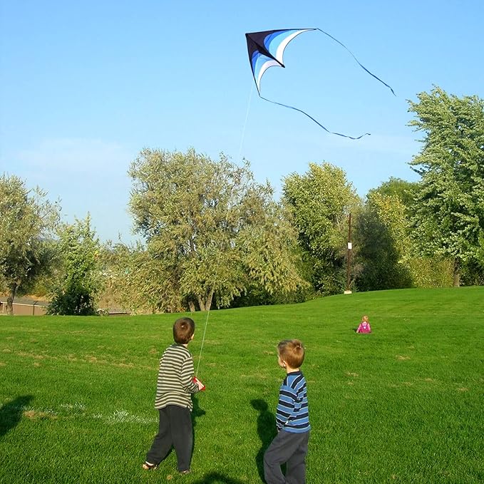 Mint's Colorful Life Delta Kite for Kids & Adults, Extremely Easy to Fly Kite for Beach Trip, Best Kites for Beginners, 300ft String Handle Included