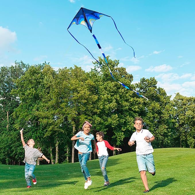 Kite, Large Delta Kites for Kids and Adults, Easy to Fly Rainbow Kites, Durable Multifunctional Beach Kite, Tangle-Free Flight Line, Durable