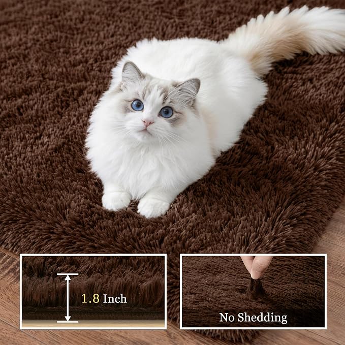 Fluffy 5x7 Area Rugs for Living Room Bedroom: Ultra Soft Shag Rug Non-Slip Non-Shedding Small Plush Bedside Rug Indoor Floor Carpets for Kids Room Playroom Entryway Nursery Dorms Home Decor Brown
