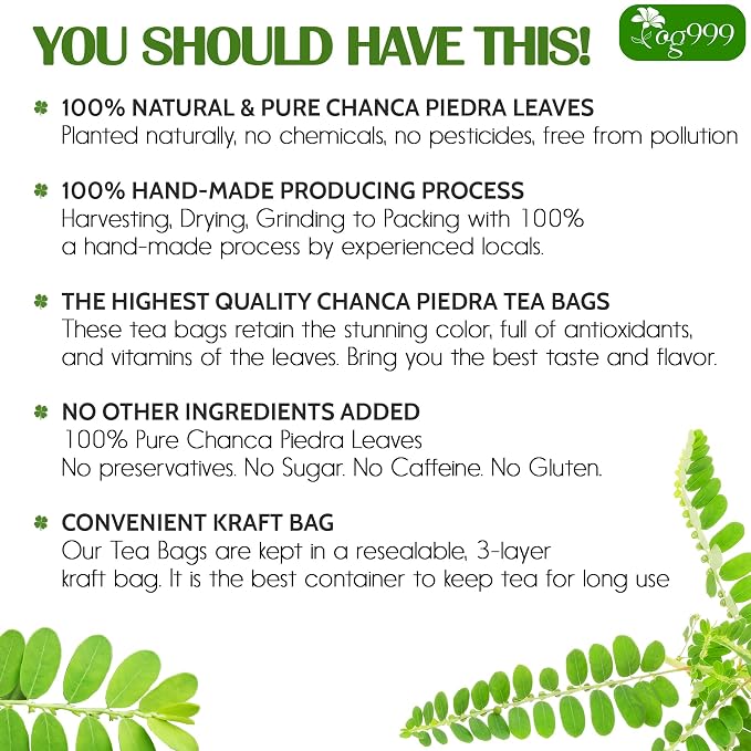 TOG999, Premium 60 Chanca Piedra Leaf Tea Bags, 100% Natural & Pure from Chanca Piedra Leaves. Loose Leaf Chanca Piedra Herbal Tea. Made with Natural Material Tea Bags. No Sugar, No Caffeine, No Gluten, Vegan.