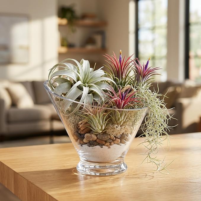 WGVI Slant Cut Calyx Glass Vase, Width 7.25", Height 6.25", Clear Terrarium, Candy Dish, Fruit Jar, Floral Container for Wedding Party Event, Home Office Decor, 1 Piece