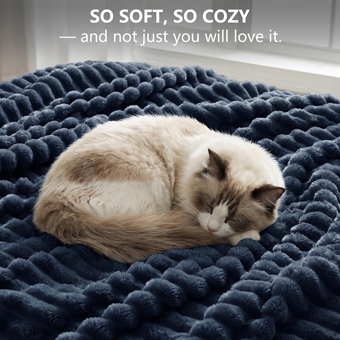 Navy Blue Blankets Queen Size for Bed, 90 x 90 Inch | 300GSM Ribbed Fleece Blanket, Soft, Cozy & Lightweight, OEKO-TEX Certified, All-Season for Bedrooms, Guest Rooms & Gifting