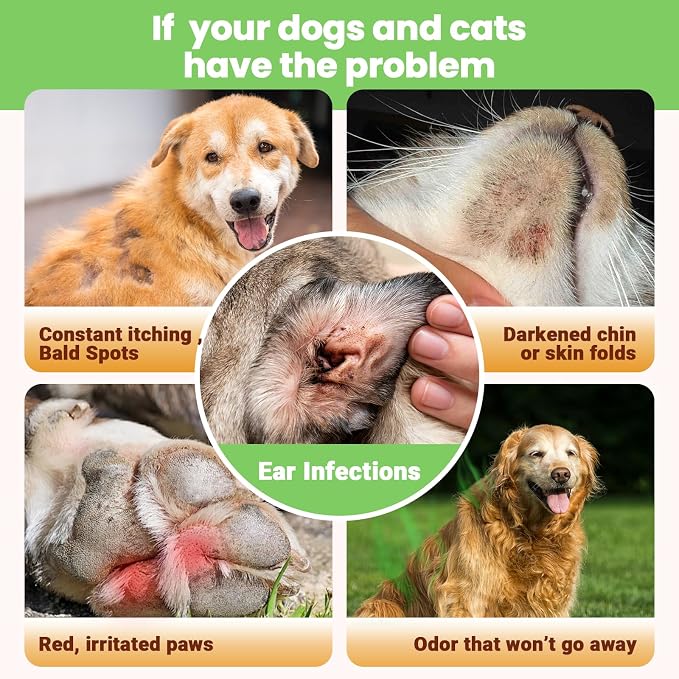 Yeast Infection Treatment for Dogs & Cats-Natural Fast Relief Drop for Itchy Skin, Ears & Paws Redness -Supports Allergy, Inflammation & Immune Health,2 fl oz Salmon Flavor(2 Pack)