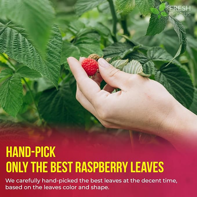 FreshDrinkUS, Premium Raspberry Leaf Tea with Chamomile – 135 Tea Bags | Naturally Caffeine-Free Herbal Blend | Soothing Floral Flavor | Premium Loose Herbal Tea in Natural Material Tea Bags