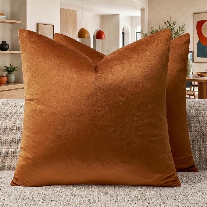 GIGIZAZA Burnt Orange Velvet Throw Pillow Covers 20x20 Pack of 2 | Decorative Pillows for Couch Sofa,280gsm Soft Textured Fabric,Modern Square Pillowcases,Luxury Cushion Covers