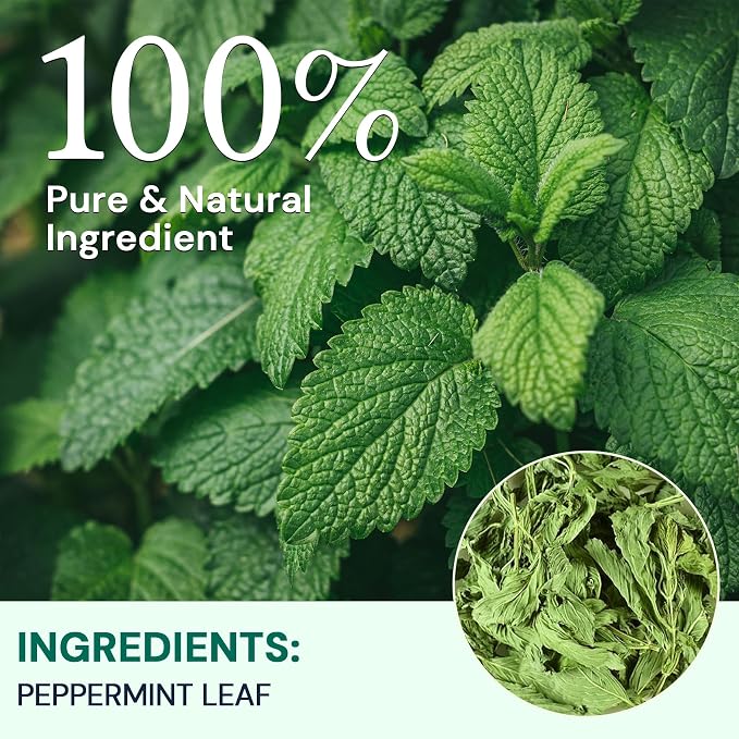 Hiihone Peppermint Tea Bags, Pure & Natural Peppermint Leaves, Fresh Minty Herbal Tea, Naturally Caffeine-Free, Non-GMO, Enjoy Hot or Iced, 100 Tea Bags