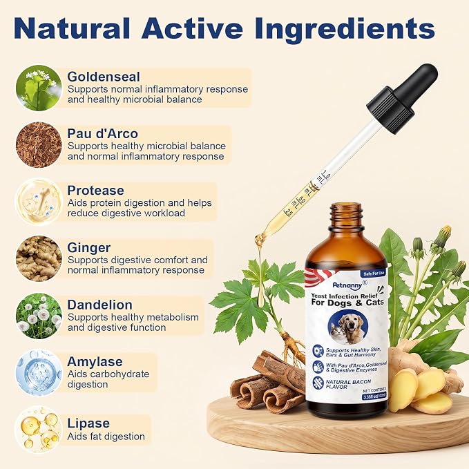Petnanny Yeast Infection Support for Dogs, Natural Herbal Supplement Yeast Infection Drops with PAU d’Arco & Goldenseal, Supports Healthy Yeast Balance, Digestion & Immune Health, Bacon Flavor