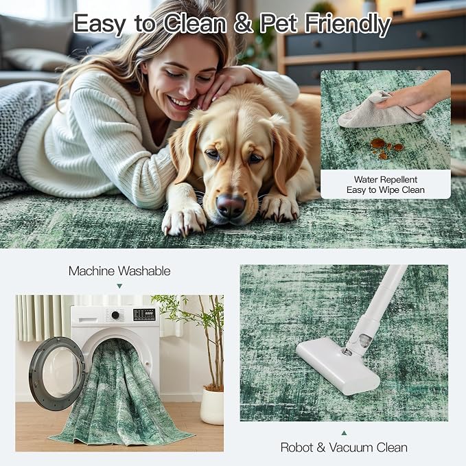 Lofus 5x7 Area Rug for Living Room, Abstract Washable Non-Slip Rugs, Green | Neutral Modern Carpet for Bedroom Dining Room Home Office Nursery, Stain Resistant Non-Shedding Foldable Indoor Rug