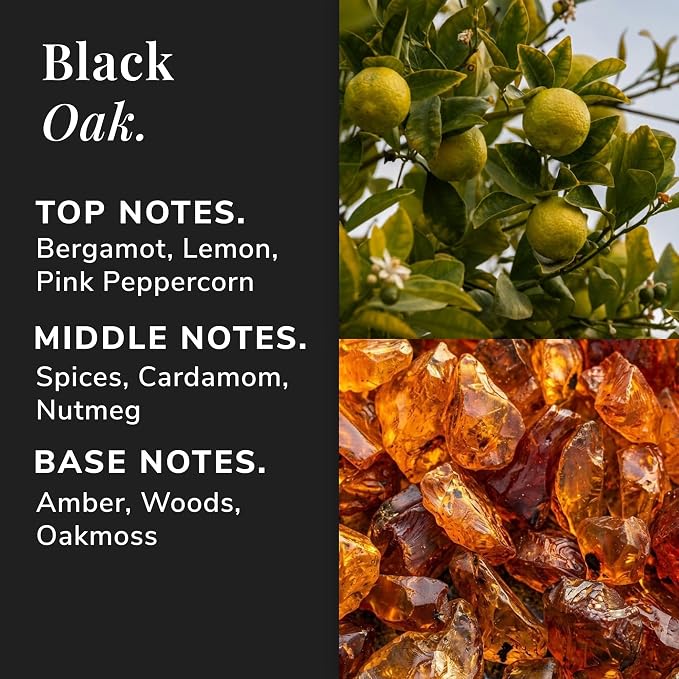 Black Oak Aromatherapy Candle – Bergamot, Cardamom & Oakmoss Scented Candle, Plant-Based Wax, 15.8 oz, 60 Hour Burn Time, Warm & Woody Candle