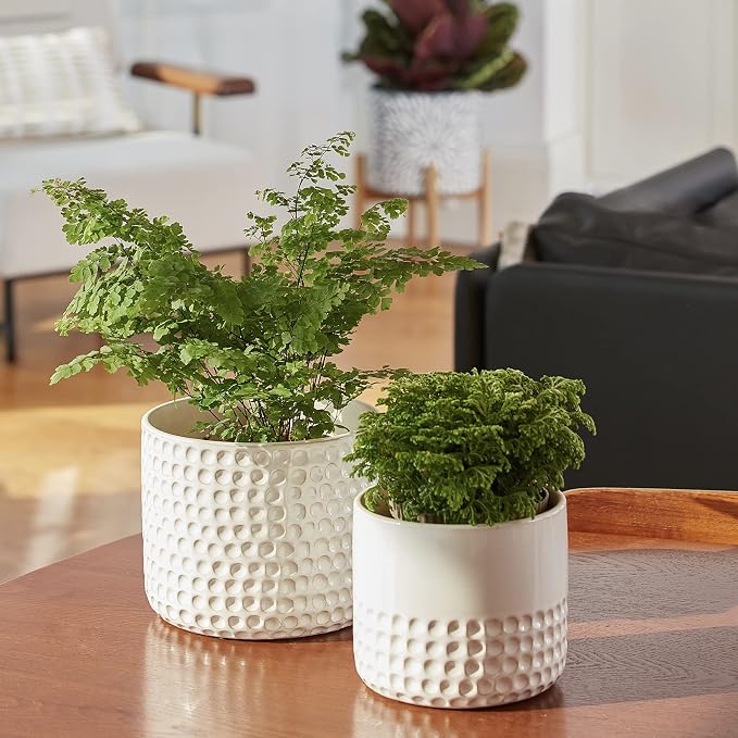 La Jolie Muse Ceramic Planter Flower Plant Pots- 6.7+5.5 Inch Concave Dot Patterned Cylinder Flower Pot W/ Drain Hole for Indoor, Set of 2, Ivory | 6.7+5.5 Inch, Ivory Dot Pattern Ceramic Planter with Drainage Hole, Decorative Planter Pots for Indoor P...
