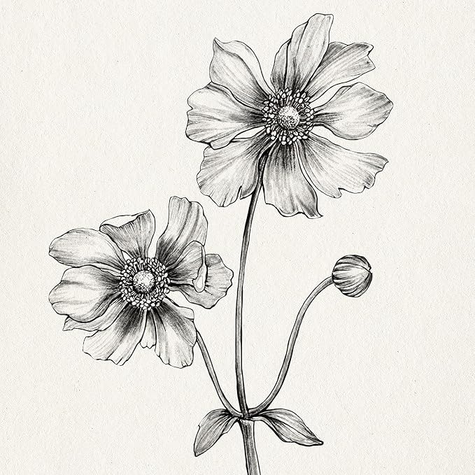 Framed Minimalist Black and White Floral Wall Art, 4 Piece Neutral Rustic Botanical Canvas Prints for Modern Farmhouse, Vintage Flower Pictures for Living Room Bedroom Kitchen Wall Decor, 12x16 Inch