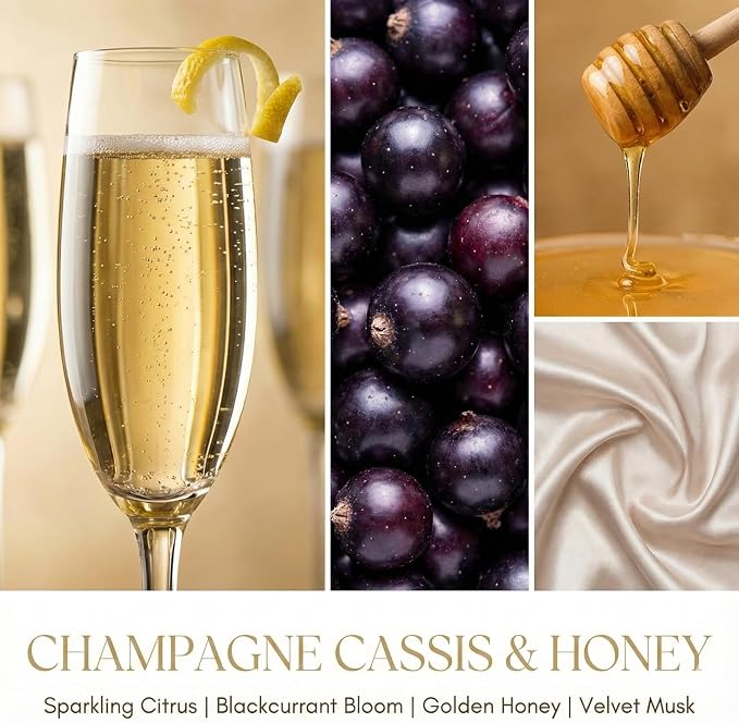HomeLights Scented Candles for Women & Men, 6.7oz Candle Jars Aromatherapy Single Wick Candle, Ideal for Eclectic Mixed Styles Home Decor and Gifts, Champagne Cassis & Honey