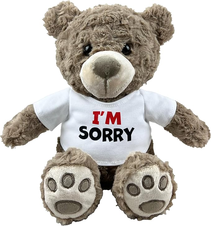 I’m Sorry Teddy Bear 10” Sitting | I Love You Im Sorry Plushie | Im Sorry Gifts for Her Stuffed Animal