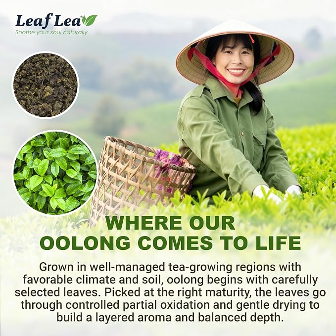 LeafLea Oolong Tea Bags, 100% Pure Leaves, Smooth Toasted Notes, Sugar-Free | 40 Te Oolong Bags, Whole Camellia Sinensis Leaves, Golden Amber Cup, Light Roast Aroma, Caffeinated, Individually Wrapped